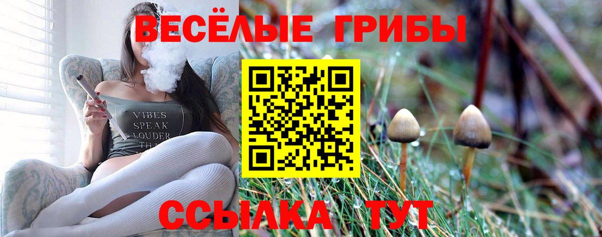 Галлюциногенные грибы мицелий  Вход с VPN  Саранск 