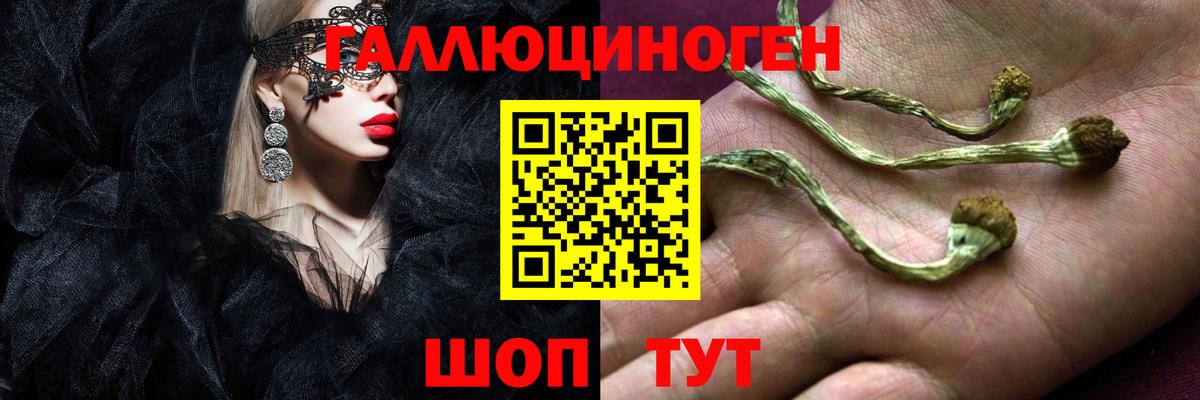 Галлюциногенные грибы мухоморы Саранск